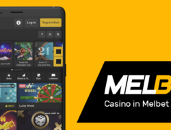 Evaluate of MELBET App for ANDROID and IOS