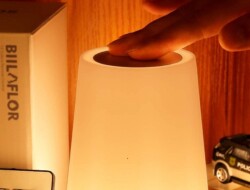 10 Greatest Contact Lamps Opinions in 2022