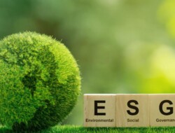 ESG credibility beneath risk from lack of standardization, report warns